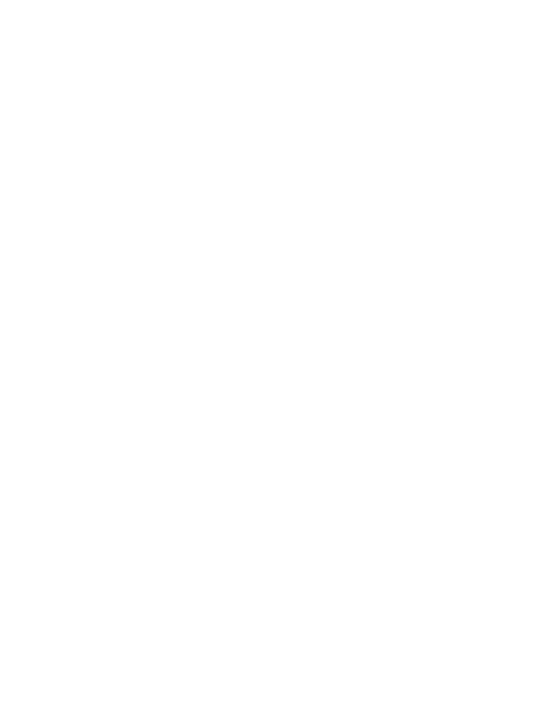 Wise Tech Builders logo